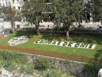 Recogida en Cangas de Onís